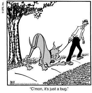 marmaduke